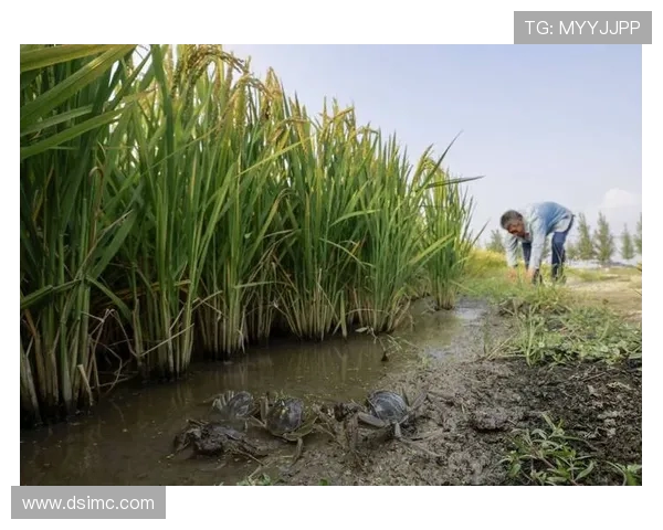 青岛国信水产创新发展助力海洋产业升级探索未来绿色可持续发展之路