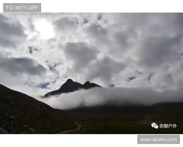 上海极限运动队中路突破分析与反思探讨