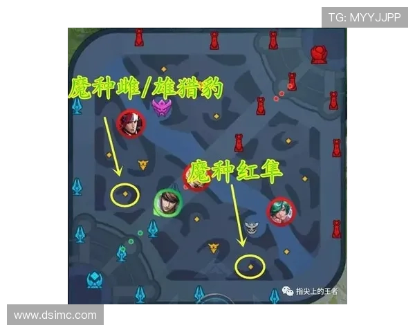 王者荣耀战术解析：LNG战队的区域防守策略与实施细节探讨