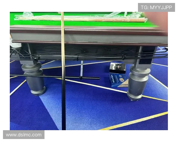 沉浸式探索台球魅力从技巧竞技到文化艺术的全面解读