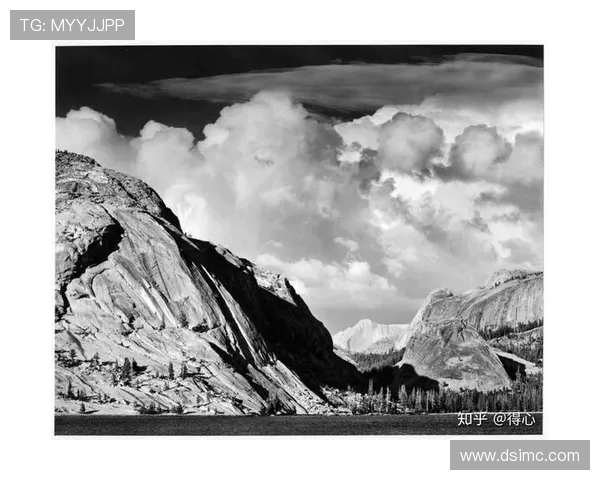 亚当斯：探索科学与人文交汇的智慧之旅与未来展望