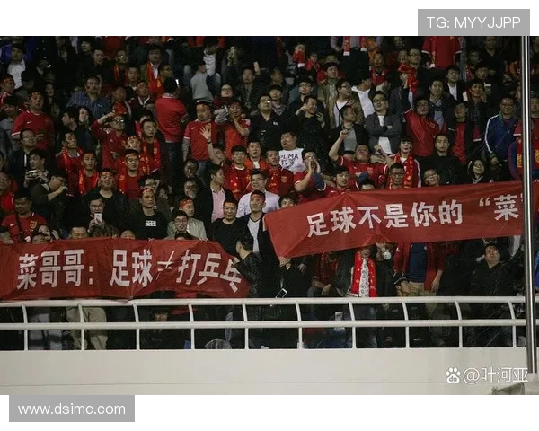 从02年国足的辉煌到现代国足的挑战：一段足球历史的对比与反思